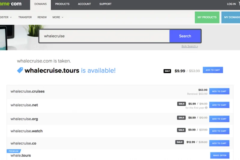 Name.com Domain Registration