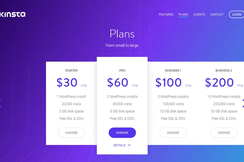 Kinsta Business 2