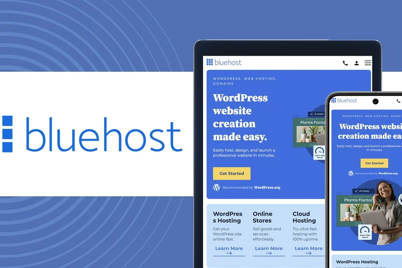 Bluehost Online Store