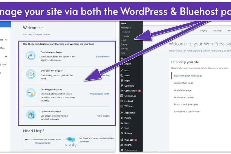 Bluehost Online Store