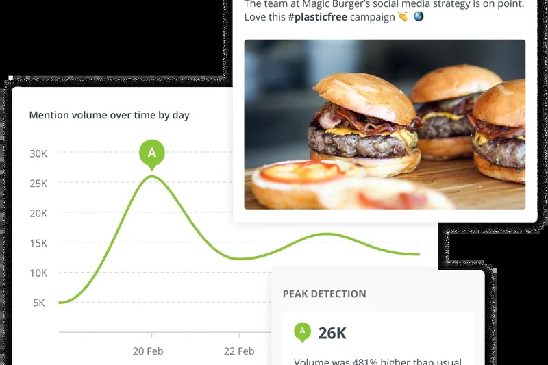 Brandwatch Social Media Management