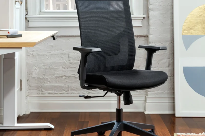 Branch Ergonomic Chair