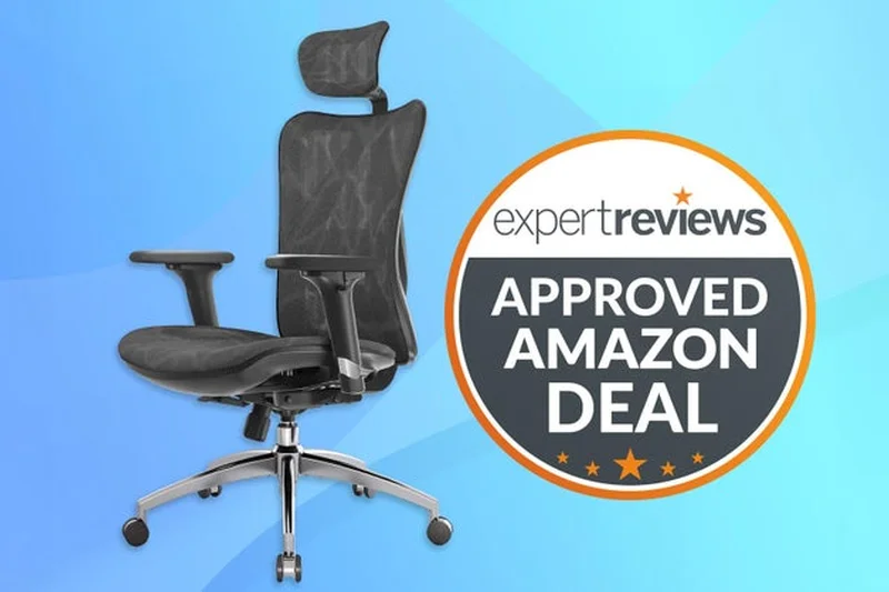 SIHOO M57 Ergonomic Office Chair