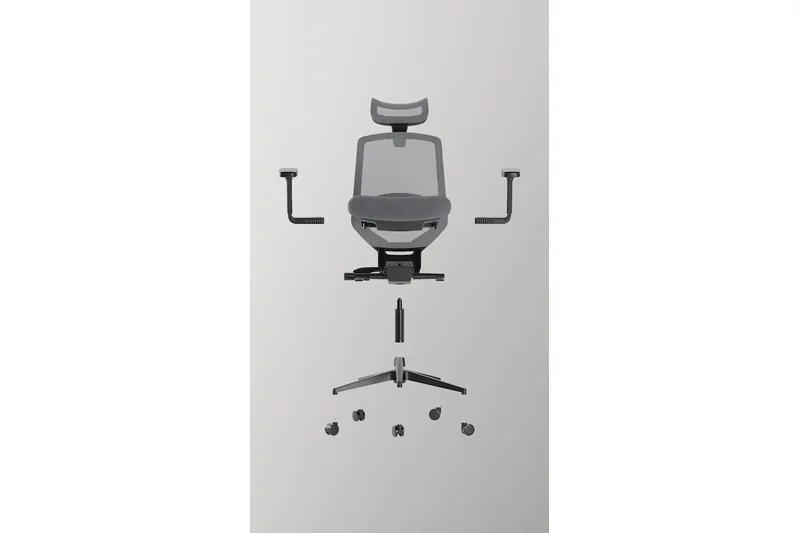 Branch Ergonomic Chair