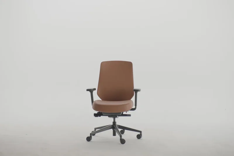 Branch Ergonomic Chair Pro