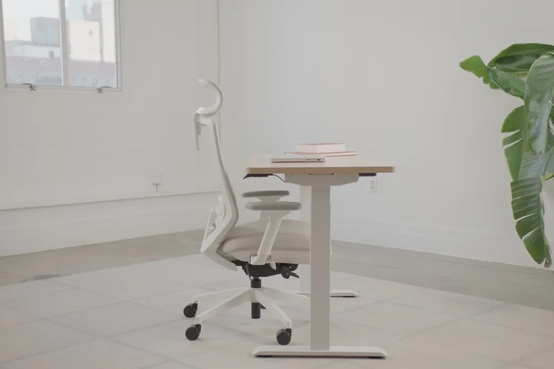 Branch Ergonomic Chair Pro