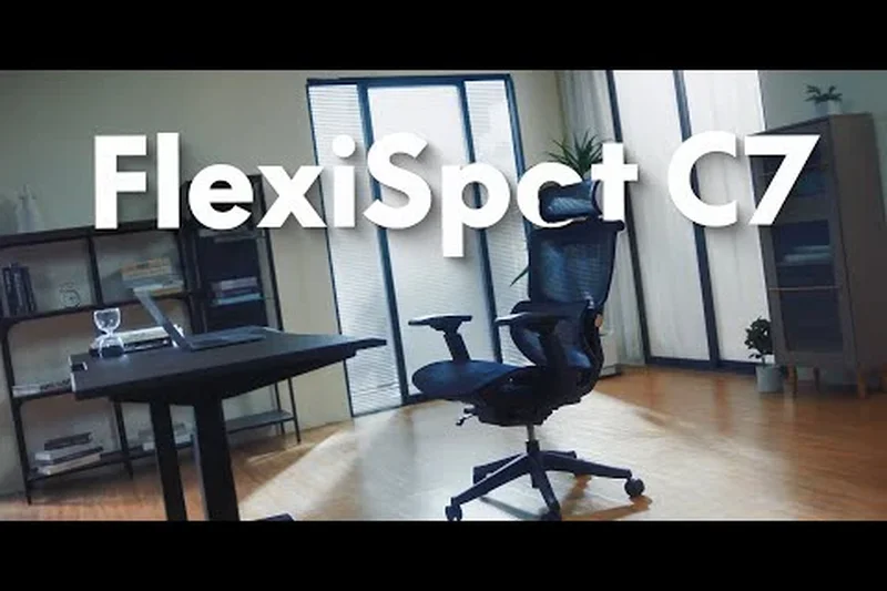 FlexiSpot Premium Ergonomic Chair (C7)