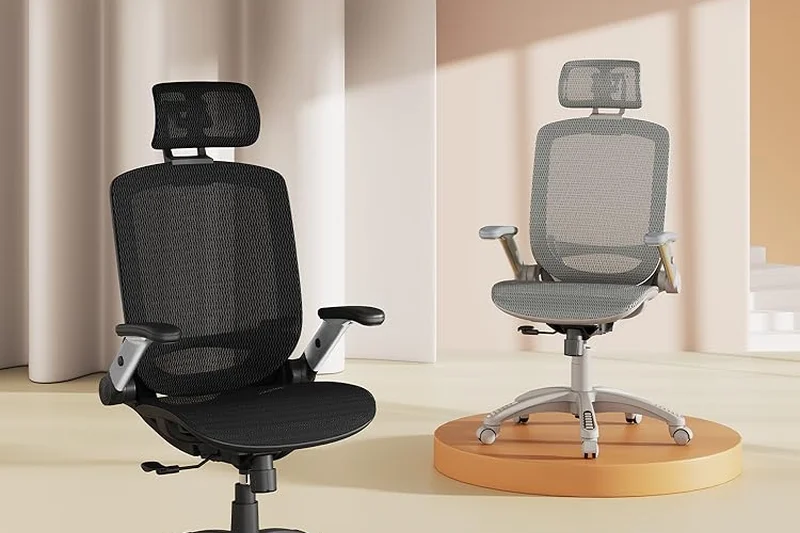 Gabrylly Ergonomic Mesh Office Chair