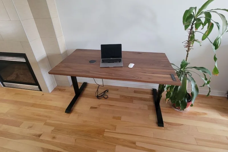 Ergonofis Sway Desk