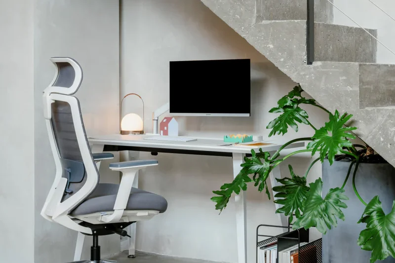 Branch Duo Standing Desk