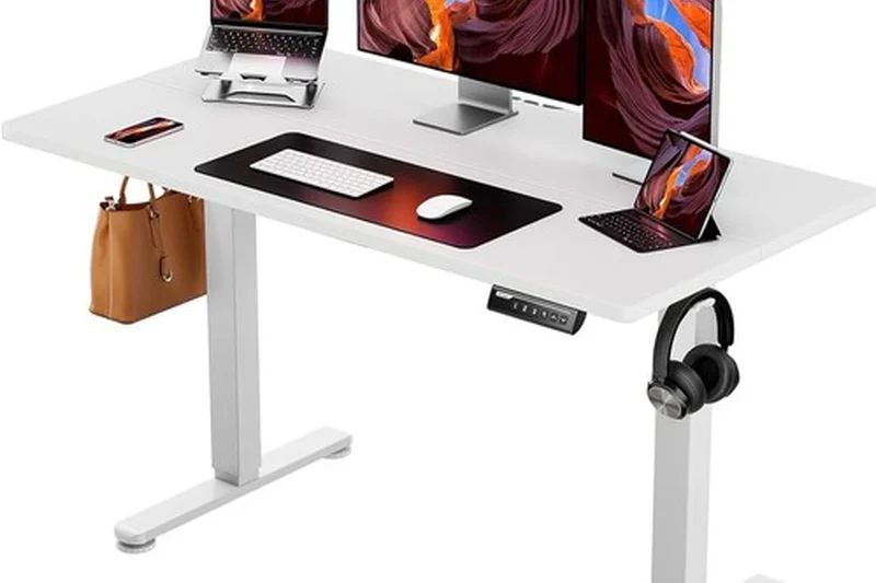 ErGear Height Adjustable Electric Standing Desk 48x24