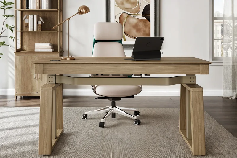 Eureka Ergonomic 60-inch Electric Standing Desk