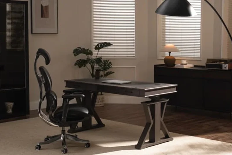 Eureka Ergonomic 60-inch Electric Standing Desk