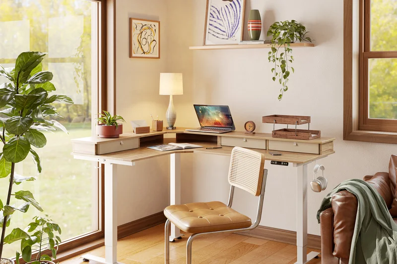 Fezibo Pro Dual Motor Standing Desk