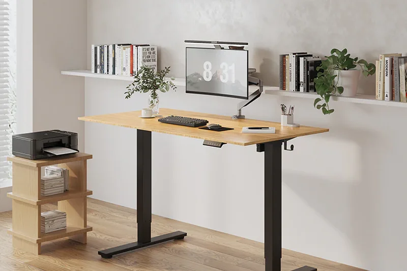 FlexiSpot E2 Essential Standing Desk