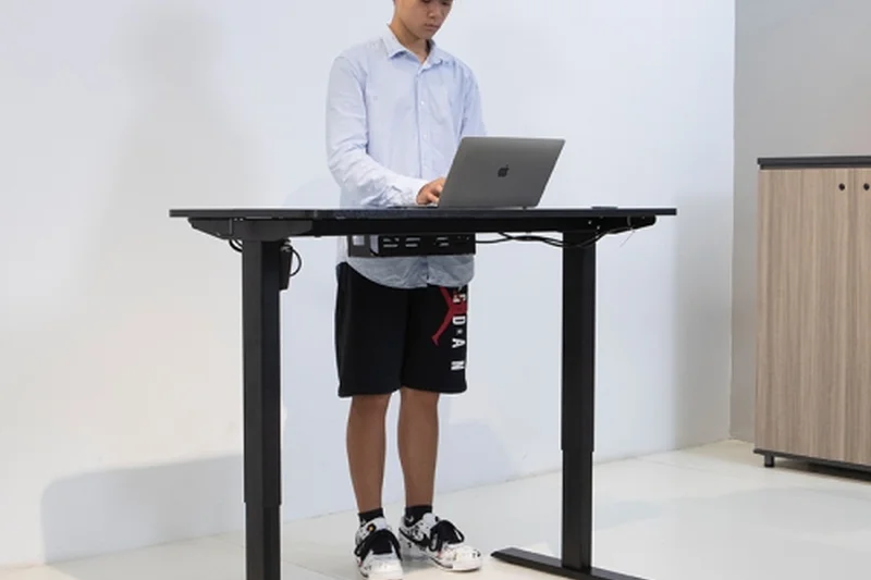 Meet&amp;Co SENDI Dual-Motor Desk