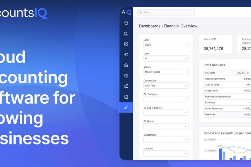 AccountsIQ