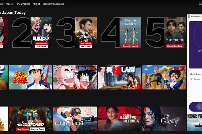 Mozilla VPN (Annual Plan)