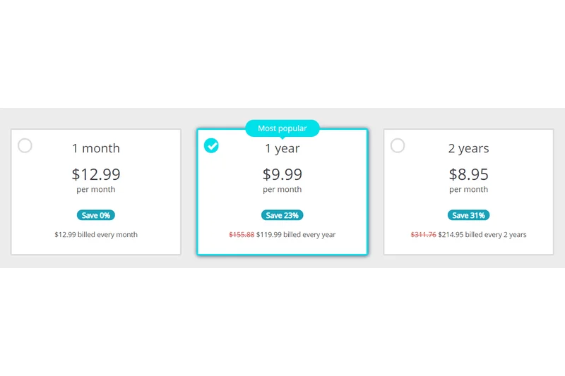 Perfect Privacy VPN (2-Year Plan)