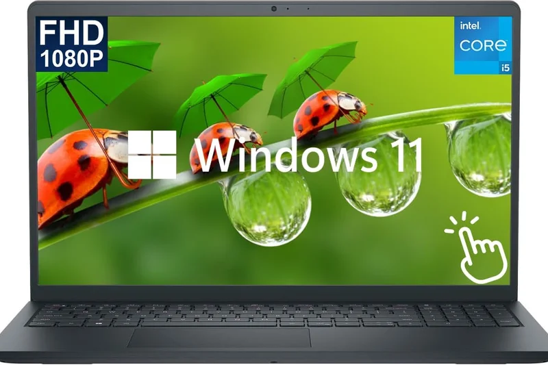 Dell Inspiron 15 3530