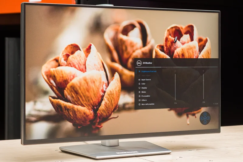 Dell P2425H 24-inch Office Monitor