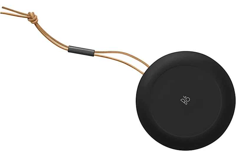 Bang &amp; Olufsen Beosound A1 (2nd Gen)