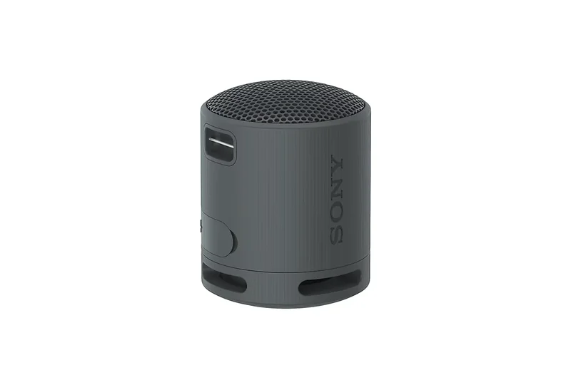 Sony SRS-XB100