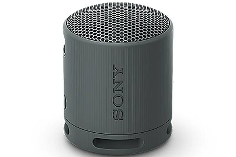 Sony SRS-XB100
