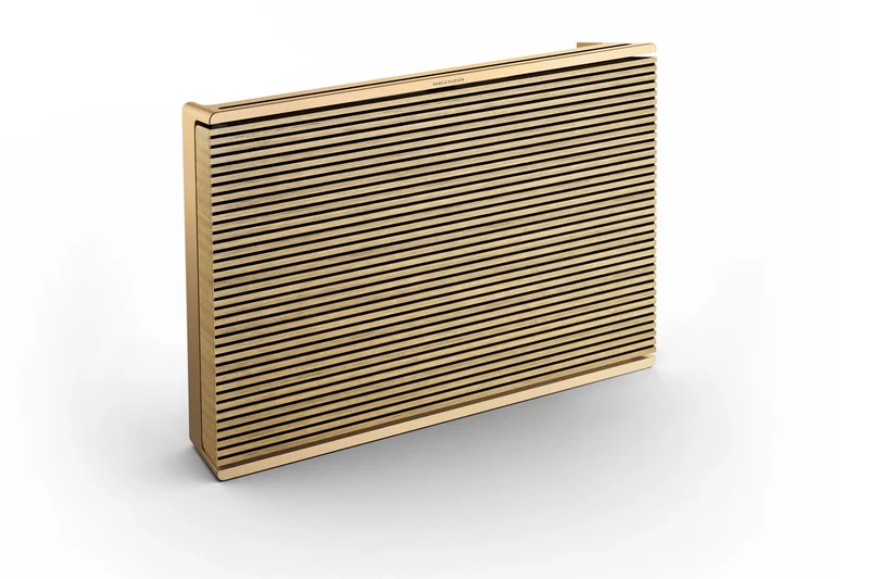 Bang &amp; Olufsen Beosound Level