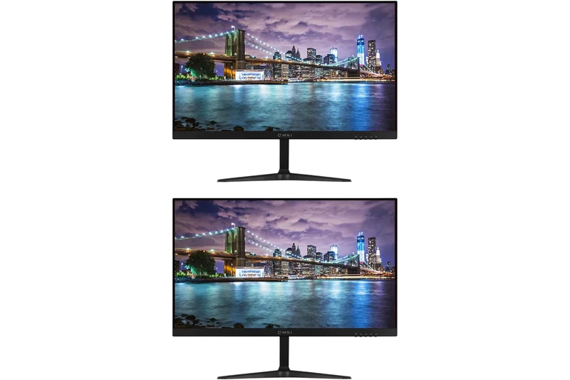 ViewSonic OMNI VX2418-P-MHD