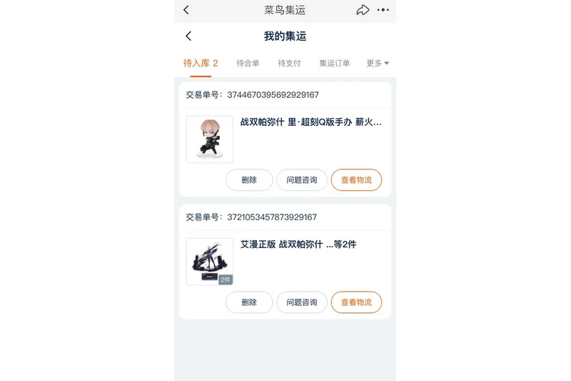 Punishing: Gray Raven