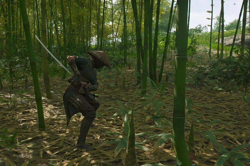 Assassin's Creed Shadows