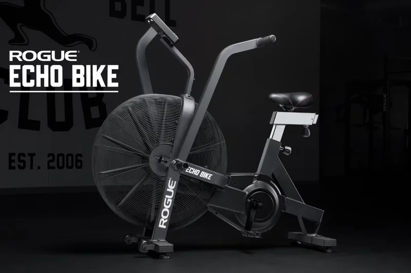 Rogue Echo Bike V3.0