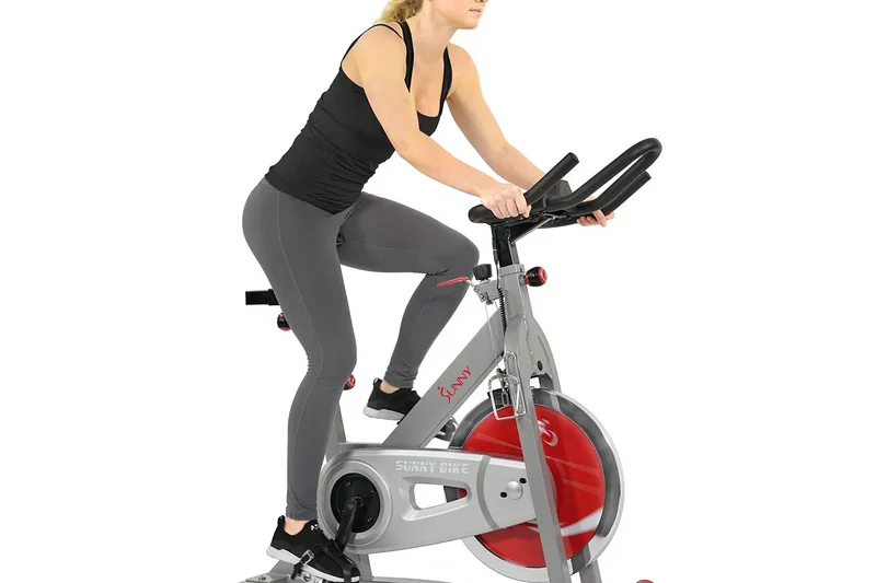 Sunny Health &amp; Fitness SF-B1995 Indoor Cycling Bike