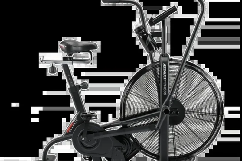 Assault AirBike Classic