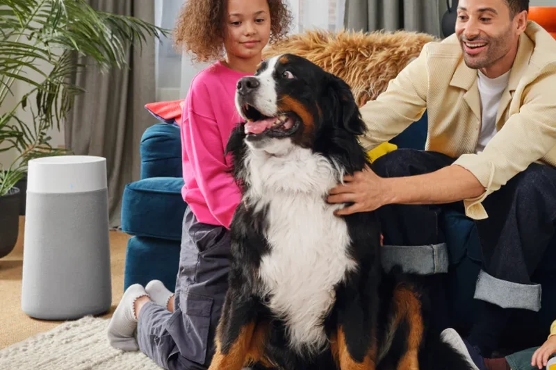 Blueair Blue Pure 311i Max