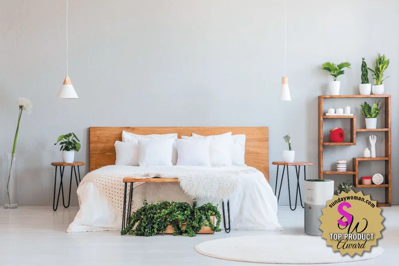 Hoover H-Purifier 300 HHP30C