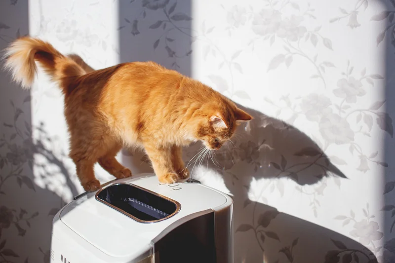 MORENTO HY4866 Compact Air Purifier