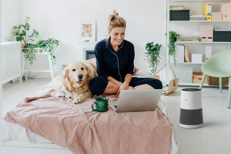 Winix A231 4-Stage True HEPA Air Purifier