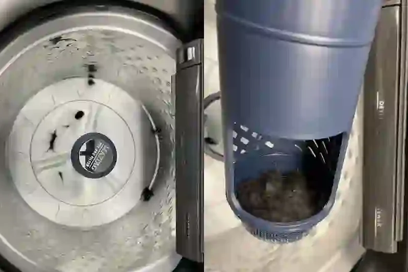 Maytag MVW6500MBK 4.7 cu. ft. Pet Pro Top Load Washer