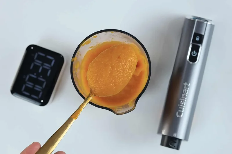 Cuisinart EvolutionX Cordless Hand Blender (RHB-100)