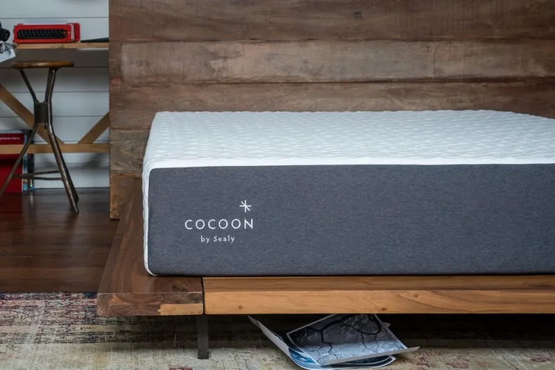Cocoon by Sealy Chill Memory Foam