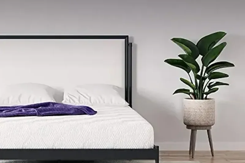 Signature Sleep Memoir 8-Inch Charcoal Memory Foam Mattress