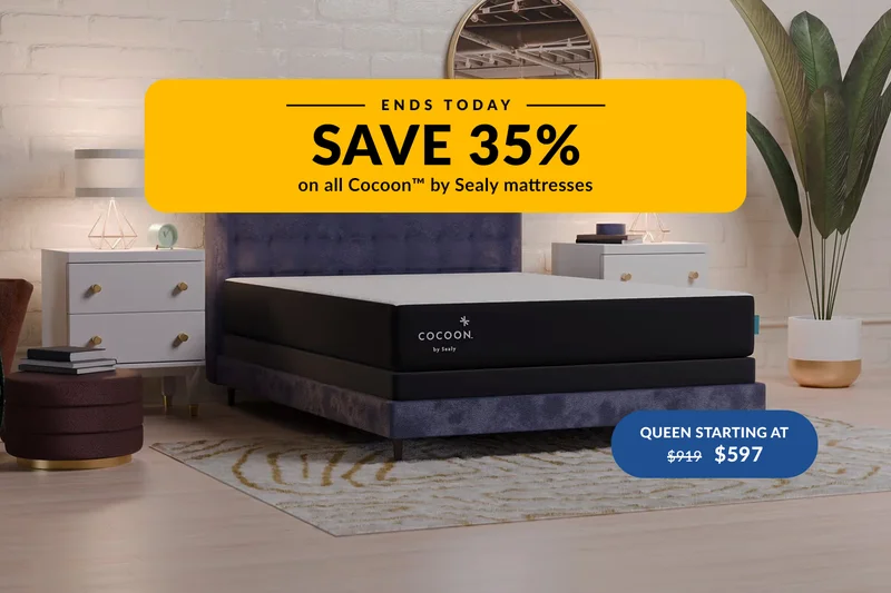 Cocoon Chill Memory Foam