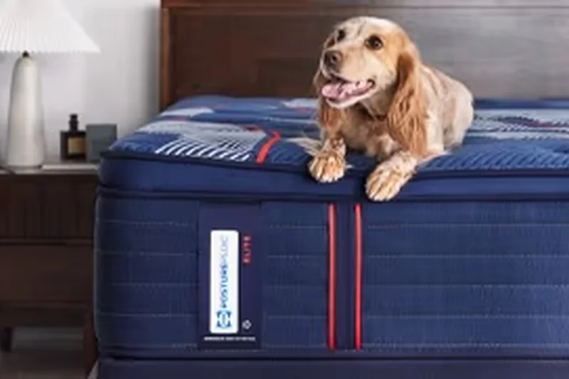 Cocoon Chill Memory Foam