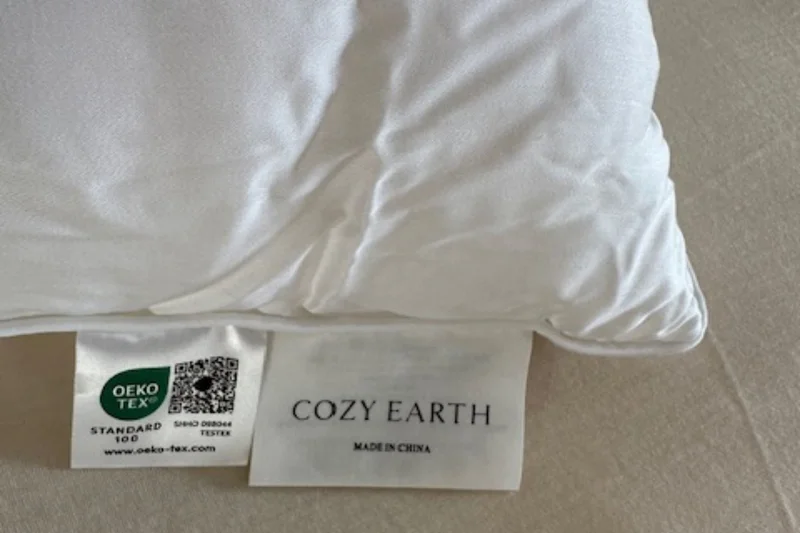 Cozy Earth Silk Pillow