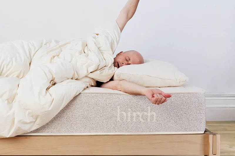Birch Organic Pillow
