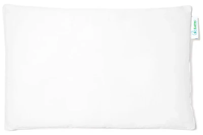 Cozy Earth Silk Pillow