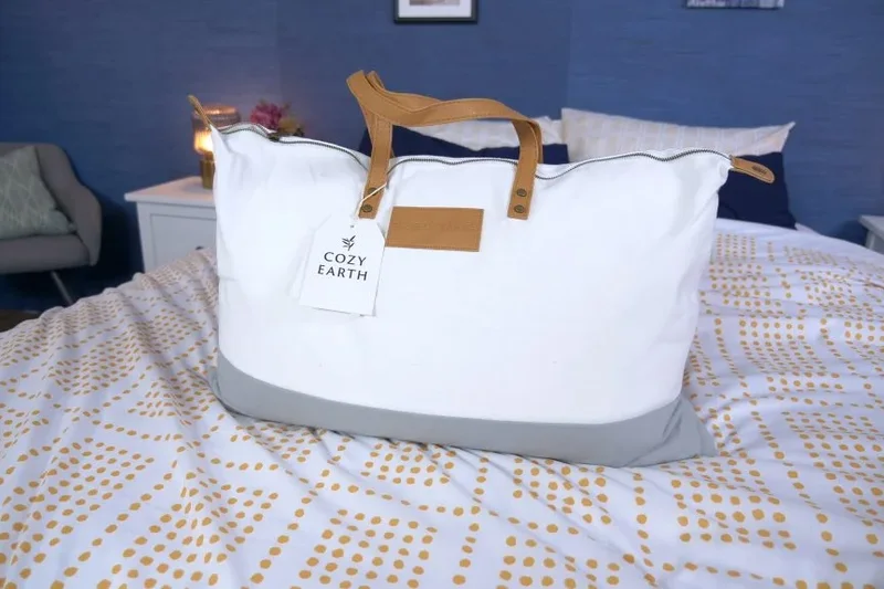 Cozy Earth Silk Pillow