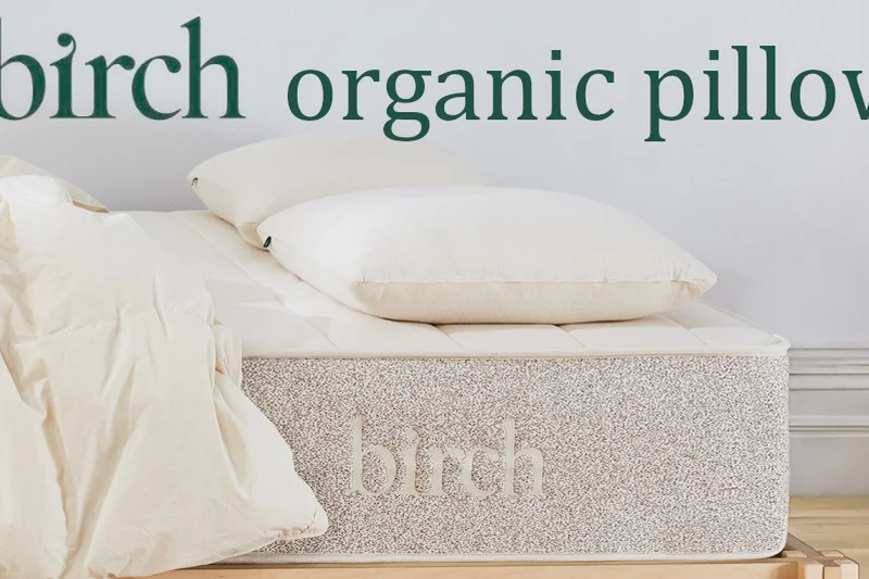 Birch Organic Pillow